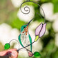 Колибри Suncatcher
