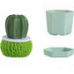 Четка за миене на съдове Cactus Kitchen