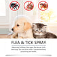 🍃 Натурален спрей против бълхи и кърлежи за кучета и котки 🐾 🐶🐱✨